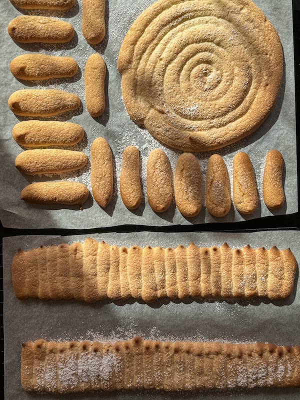cartouchière et escargot en biscuit cuillère pour charlotte