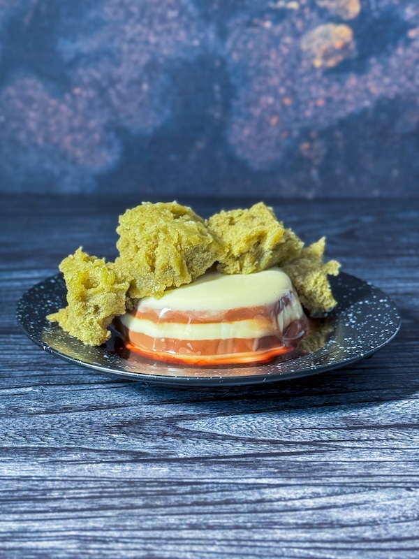 sponge cake et pannacotta marbrée